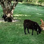 La Gobiniere Bed & Breakfast *