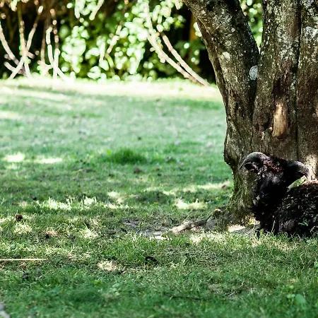 Frühstückspension La Gobiniere Saint-Mars-la-Réorthe