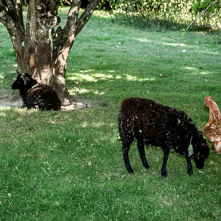 La Gobiniere Frühstückspension *