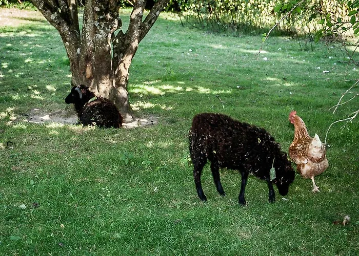 La Gobiniere Bed and Breakfast *